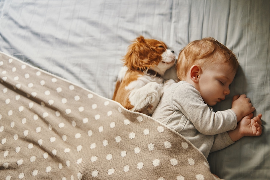 Baby and puppy sleeping safely in warm home.