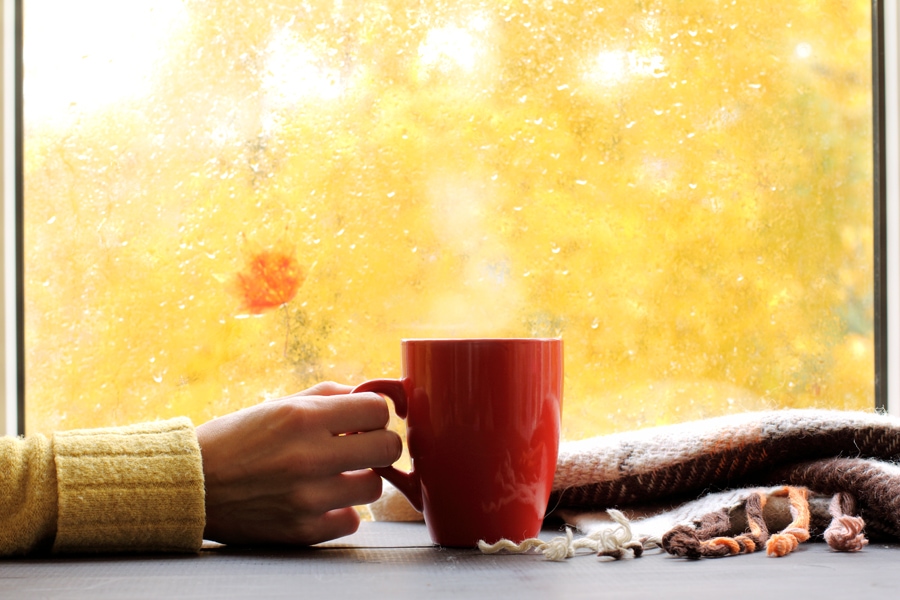 Fall window scene with a hand holding a mug, showing good indoor air quality.